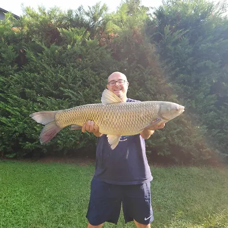 公寓 Rozsa Nyaralo *